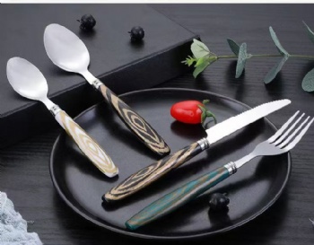 Silver Stainless Steel Cutlery Flatware Set Dinner Eating Tool with Colored PP Plastic Handle