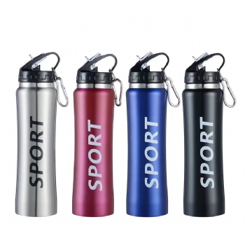 Factory Direct Sales 750ml Stainless Steel Vacuum Insulated Sport Water Bottle With Straw And Handle For Outdoor Hiking